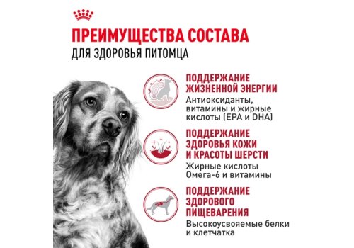 Royal Canin Medium Adult 7+ / Сухой корм Роял Канин Медиум для Пожилых собак Средних пород старше 7 лет Royal Canin Medium Adult 7+ / Сухой корм Роял Канин Медиум для Пожилых собак Средних пород старше 7 лет