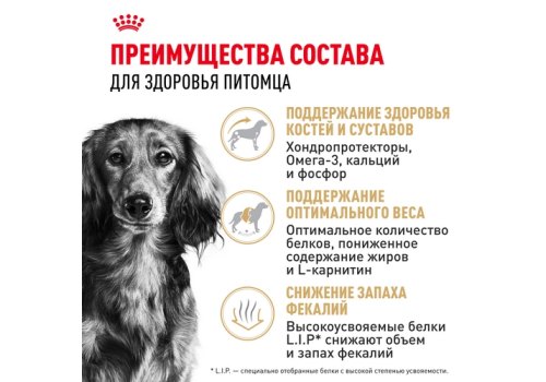 Royal Canin Breed dog Dachshund Adult / Сухой корм Роял Канин для взрослых собак породы Такса старше 10 месяцев