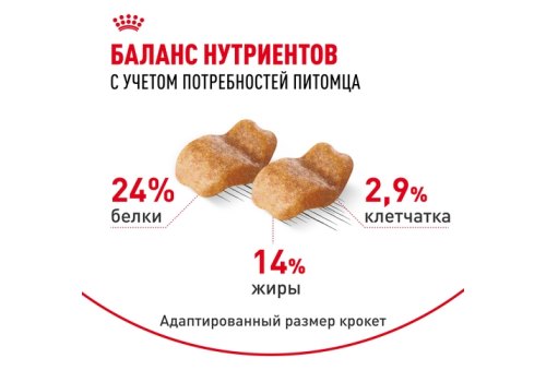 Royal Canin Breed dog Bulldog Adult / Сухой корм Роял Канин для взрослых собак породы Английский Бульдог старше 1 года