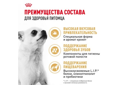 Royal Canin Breed dog Chihuahua Adult / Сухой корм Роял Канин для взрослых собак породы Чихуахуа старше 8 месяцев