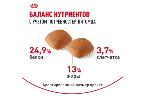 Royal Canin Breed dog Golden Retriever Adult / Сухой корм Роял Канин для взрослых собак породы Голден Ретривер старше 15 месяцев