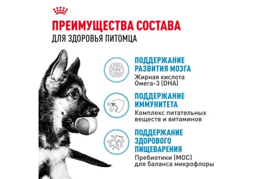 Royal Canin Maxi Puppy / Сухой корм Роял Канин Макси Паппи для Щенков Крупных пород в возрасте от 2 до 15 месяцев