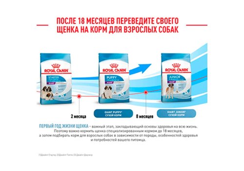 Royal Canin Giant Starter / Сухой корм Роял Канин Джайнт Стартер для Щенков Гигантских пород в возрасте до 2 месяцев