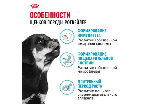 Royal Canin Breed dog Rottweiler Puppy / Сухой корм Роял Канин для Щенков породы Ротвейлер в возрасте до 18 месяцев