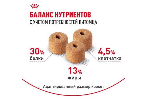 Royal Canin Breed dog Labrador Retriever Adult / Сухой корм Роял Канин для взрослых собак породы Лабрадор старше 15 месяцев