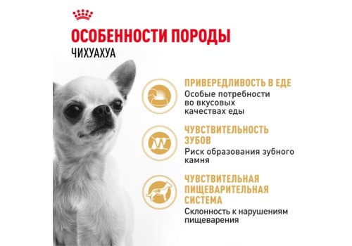 Royal Canin Breed dog Chihuahua Adult / Сухой корм Роял Канин для взрослых собак породы Чихуахуа старше 8 месяцев Royal Canin Breed dog Chihuahua Adult / Сухой корм Роял Канин для взрослых собак породы Чихуахуа старше 8 месяцев