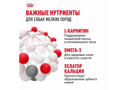 Royal Canin Mini Adult / Сухой корм Роял Канин Мини Эдалт для взрослых собак Мелких пород в возрасте от 10 месяцев до 8 лет