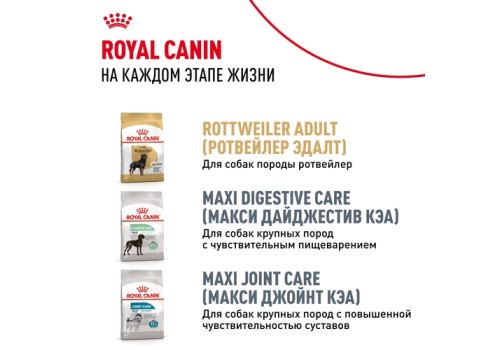 Royal Canin Breed dog Rottweiler Puppy / Сухой корм Роял Канин для Щенков породы Ротвейлер в возрасте до 18 месяцев