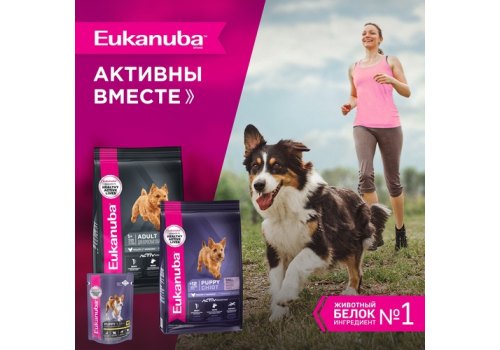 Eukanuba Puppy Large Breed / Сухой корм Эукануба для Щенков Крупных пород с Курицей