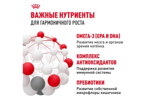 Royal Canin Kitten / Сухой корм Роял Канин Киттен для Котят в возрасте от 4 до 12 месяцев