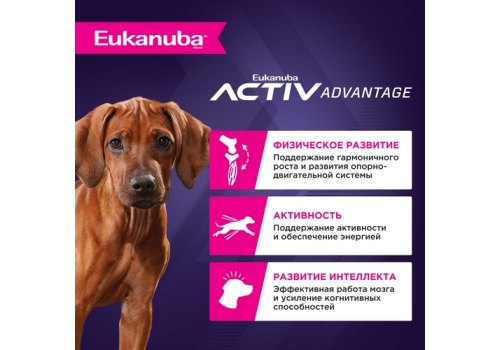 Eukanuba Puppy Large Breed / Сухой корм Эукануба для Щенков Крупных пород с Курицей