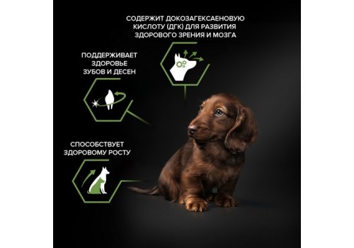 PRO PLAN OPTI START / Сухой корм ПРО ПЛАН для щенков мелких пород с курицей PRO PLAN OPTI START / Сухой корм ПРО ПЛАН для щенков мелких пород с курицей