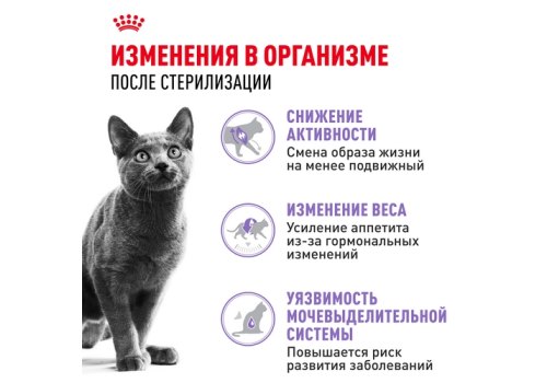 Royal Canin Sterilised / Сухой корм Роял Канин Стерилайзд для взрослых Кастрированных котов и Стерилизованных кошек в возрасте от 1 года до 7 лет