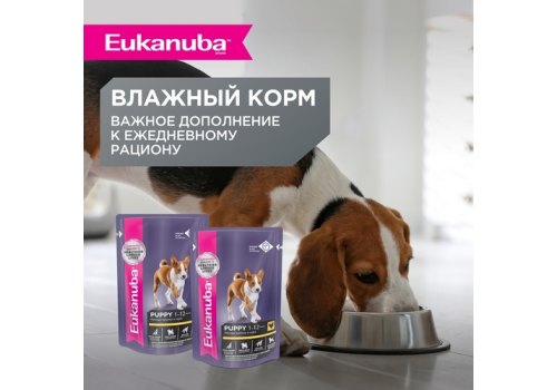 Eukanuba Puppy Large Breed / Сухой корм Эукануба для Щенков Крупных пород с Курицей