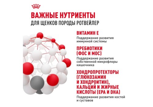 Royal Canin Breed dog Rottweiler Puppy / Сухой корм Роял Канин для Щенков породы Ротвейлер в возрасте до 18 месяцев