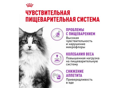 Royal Canin Sensible / Сухой корм Роял Канин Сенсибл для кошек с Чувствительным пищеварением