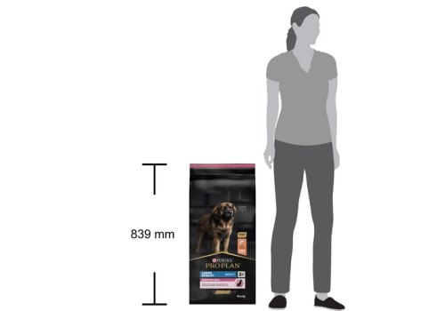 PRO PLAN ORIGINAL / Сухой корм ПРО ПЛАН для взрослых кошек для поддержания здоровья органов чувств с лососем