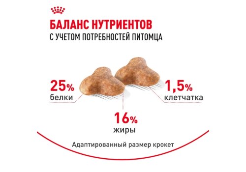 Royal Canin Breed dog Pug Adult / Сухой корм Роял Канин для взрослых собак породы Мопс старше 10 месяцев
