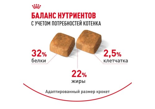 Royal Canin Breed cat Kitten Persian / Сухой корм Роял Канин для Котят Персидской породы в возрасте от 4 до 12 месяцев