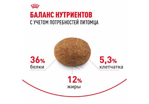 Royal Canin Sterilised 7+ / Сухой корм Роял Канин Стерилайзд для Пожилых кастрированных котов и Стерилизованных кошек в возрасте от 7 до 12 лет