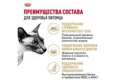 Royal Canin Breed cat Siamese / Сухой корм Роял Канин для взрослых кошек Сиамской породы старше 1 года
