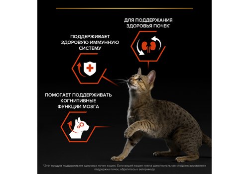 PRO PLAN ORIGINAL / Сухой корм ПРО ПЛАН для взрослых кошек для поддержания здоровья органов чувств с лососем