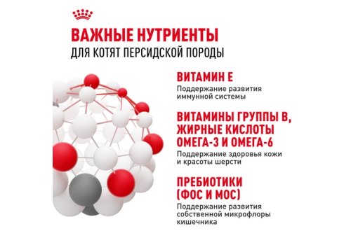 Royal Canin Breed cat Kitten Persian / Сухой корм Роял Канин для Котят Персидской породы в возрасте от 4 до 12 месяцев