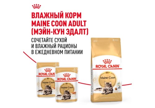 Royal Canin Breed cat Maine Coon / Сухой корм Роял Канин для Взрослых кошек породы Мэйн Кун старше 15 месяцев