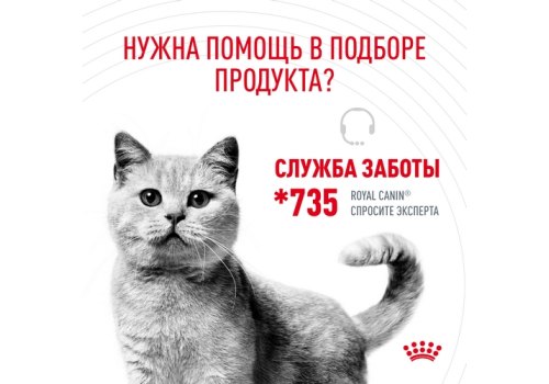 Royal Canin Light Weight Care / Сухой корм Роял Канин Лайт Вейт Кэа для кошек Низкокалорийный (профилактика избыточного веса) Royal Canin Light Weight Care / Сухой корм Роял Канин Лайт Вейт Кэа для кошек Низкокалорийный (профилактика избыточного веса)
