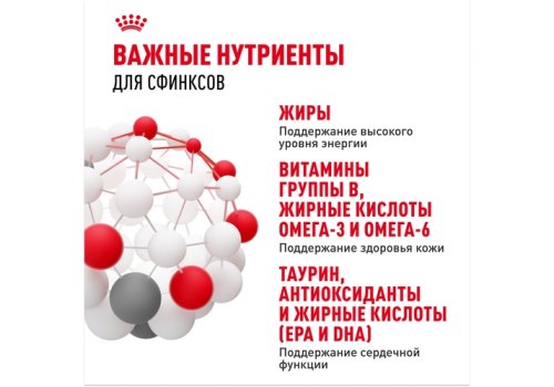 Royal Canin Breed cat Sphynx / Сухой корм Роял Канин для взрослых кошек породы Сфинкс страше 1 года