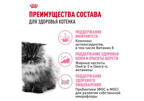 Royal Canin Breed cat Kitten Persian / Сухой корм Роял Канин для Котят Персидской породы в возрасте от 4 до 12 месяцев