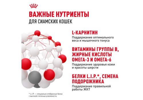 Royal Canin Breed cat Siamese / Сухой корм Роял Канин для взрослых кошек Сиамской породы старше 1 года
