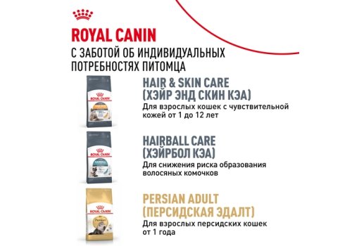 Royal Canin Breed cat Kitten Persian / Сухой корм Роял Канин для Котят Персидской породы в возрасте от 4 до 12 месяцев