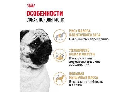 Royal Canin Breed dog Pug Adult / Сухой корм Роял Канин для взрослых собак породы Мопс старше 10 месяцев