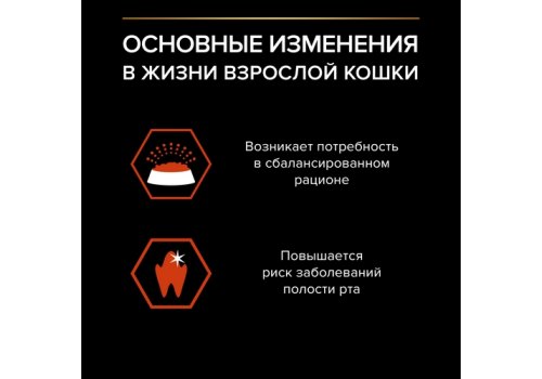 PRO PLAN ORIGINAL / Сухой корм ПРО ПЛАН для взрослых кошек для поддержания здоровья органов чувств с лососем