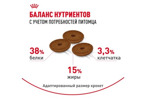 Royal Canin Digestive Care / Сухой корм Роял Канин Дайджестив Кэа для кошек с Расстройствами пищеварения