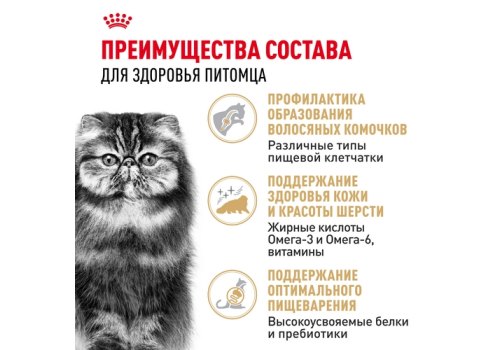 Royal Canin Breed cat Persian / Сухой корм Роял Канин для Взрослых кошек Персидской породы старше 1 года