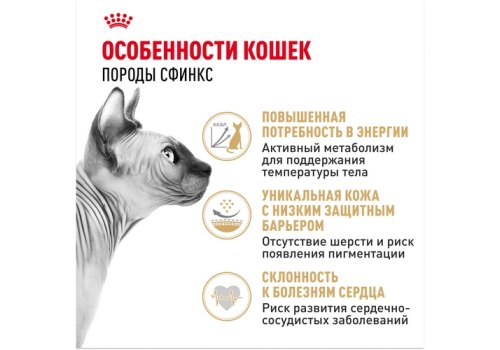 Royal Canin Breed cat Sphynx / Сухой корм Роял Канин для взрослых кошек породы Сфинкс страше 1 года