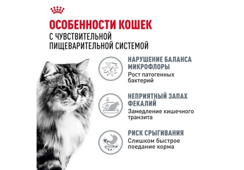 Royal Canin Digestive Care / Сухой корм Роял Канин Дайджестив Кэа для кошек с Расстройствами пищеварения