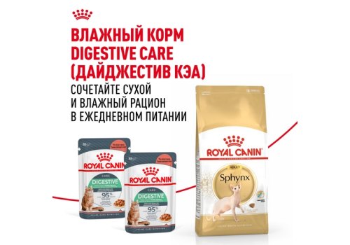 Royal Canin Breed cat Sphynx / Сухой корм Роял Канин для взрослых кошек породы Сфинкс страше 1 года