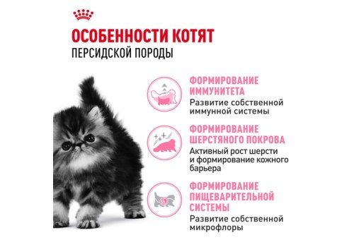 Royal Canin Breed cat Kitten Persian / Сухой корм Роял Канин для Котят Персидской породы в возрасте от 4 до 12 месяцев