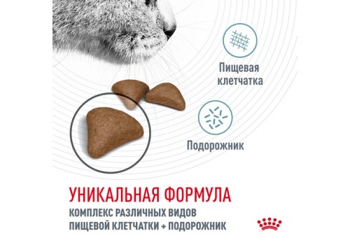 Royal Canin Hairball Care / Сухой корм Роял Канин Хэйрбол Кэа для кошек Вывод волосяных комочков