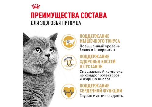 Royal Canin Breed cat British Shorthair / Сухой корм Роял Канин для Взрослых кошек породы Британская короткошерстная