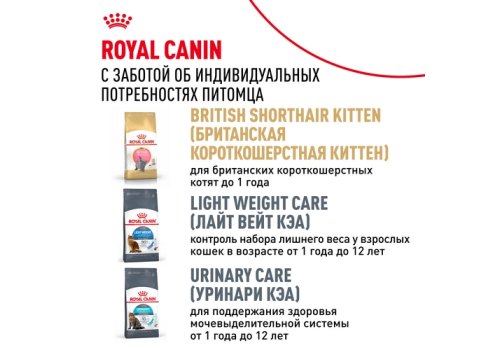 Royal Canin Breed cat British Shorthair / Сухой корм Роял Канин для Взрослых кошек породы Британская короткошерстная