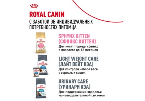 Royal Canin Breed cat Sphynx / Сухой корм Роял Канин для взрослых кошек породы Сфинкс страше 1 года