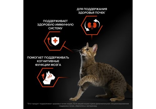 PRO PLAN ORIGINAL / Сухой корм ПРО ПЛАН для взрослых кошек для поддержания здоровья органов чувств с лососем