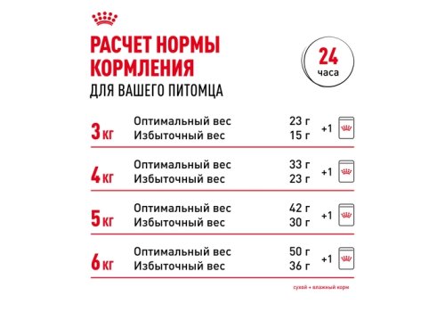 Royal Canin Breed cat Siamese / Сухой корм Роял Канин для взрослых кошек Сиамской породы старше 1 года