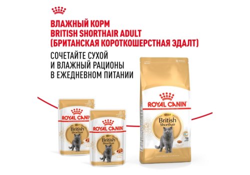 Royal Canin Breed cat British Shorthair / Сухой корм Роял Канин для Взрослых кошек породы Британская короткошерстная Royal Canin Breed cat British Shorthair / Сухой корм Роял Канин для Взрослых кошек породы Британская короткошерстная