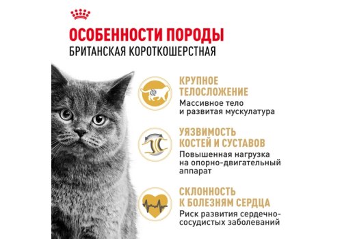 Royal Canin Breed cat British Shorthair / Сухой корм Роял Канин для Взрослых кошек породы Британская короткошерстная Royal Canin Breed cat British Shorthair / Сухой корм Роял Канин для Взрослых кошек породы Британская короткошерстная