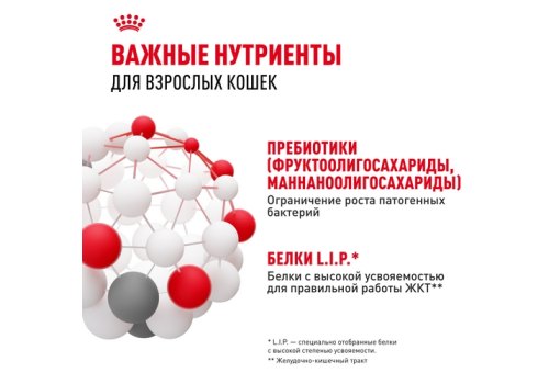 Royal Canin Digestive Care / Сухой корм Роял Канин Дайджестив Кэа для кошек с Расстройствами пищеварения